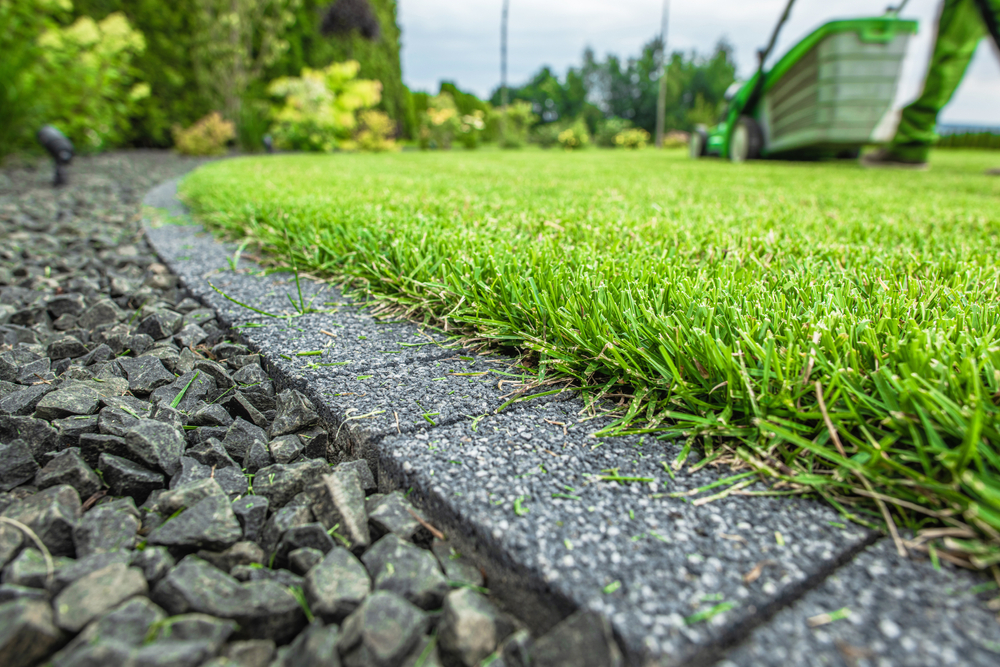 How often should you cut the grass?
