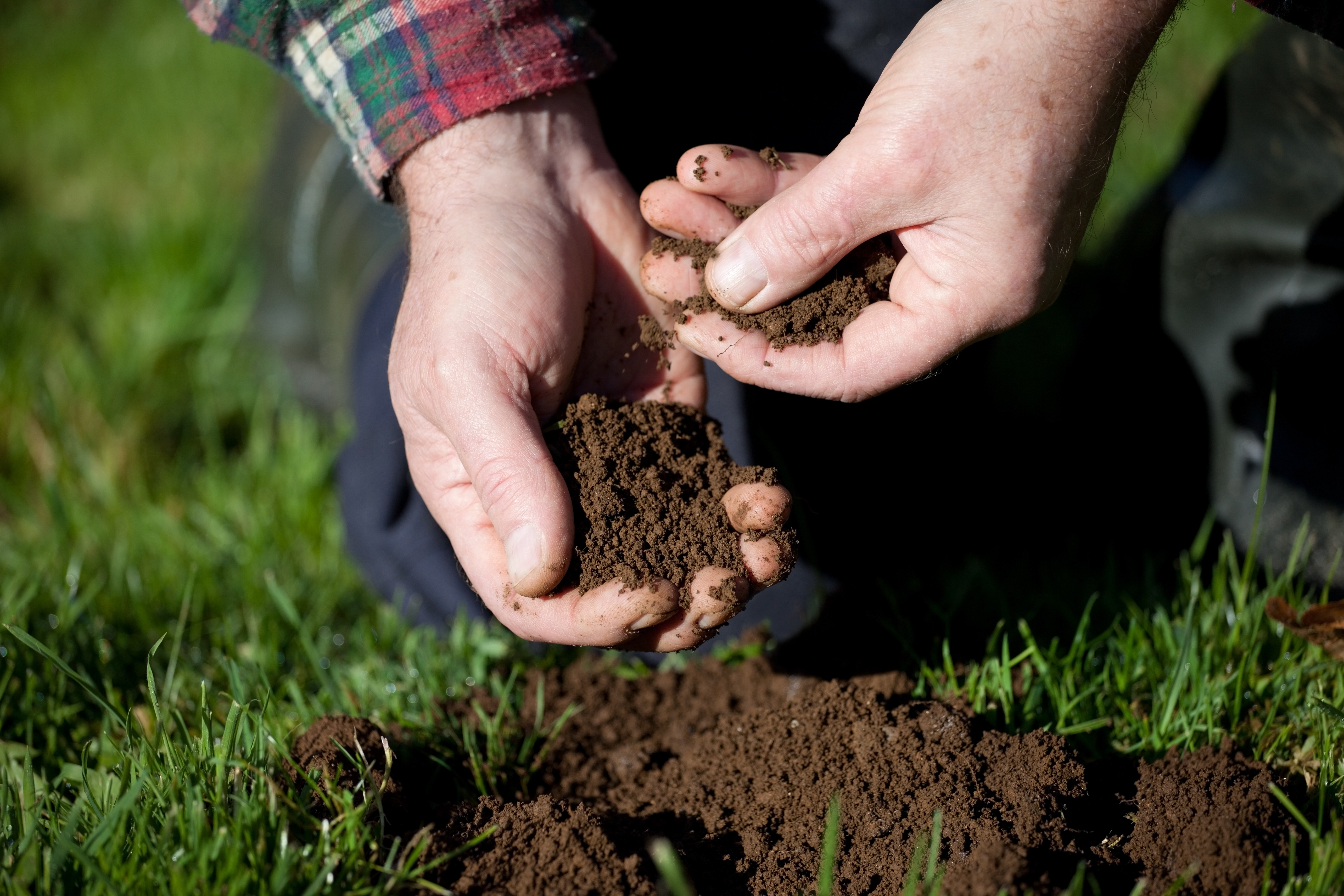 How to improve your soil