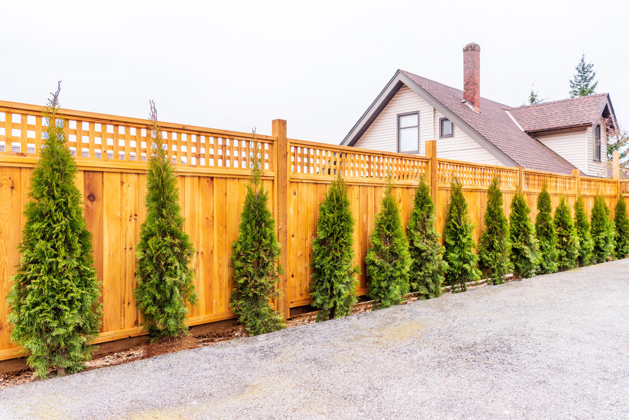 Fence height guidelines